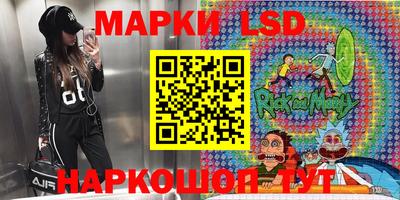 шишки Обь