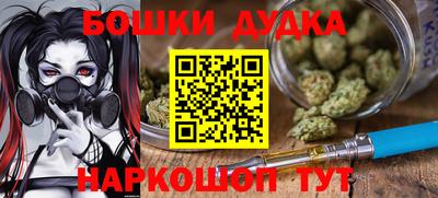 шишки Обь