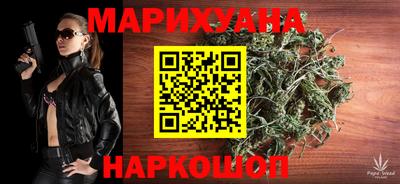 шишки Обь
