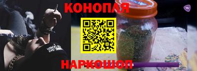 шишки Обь