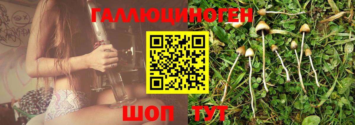 Галлюциногенные грибы мицелий Самара